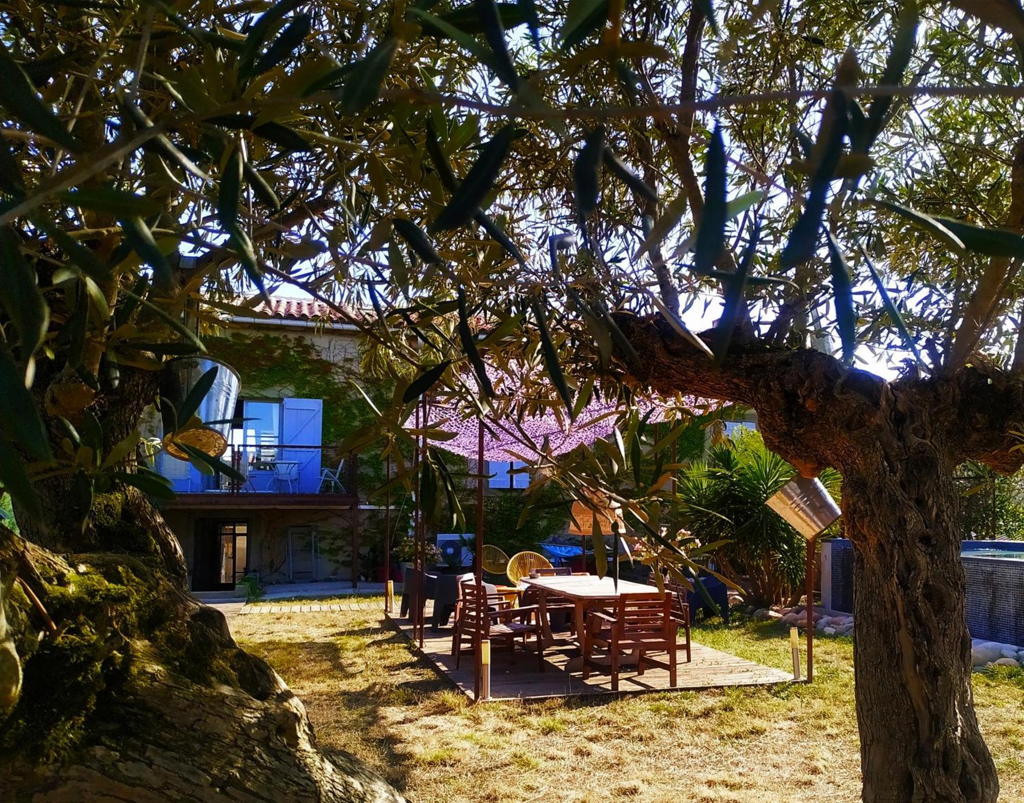 Les Grands Cypres - Chambres D'Hotes Conques-sur-Orbiel Kültér fotó